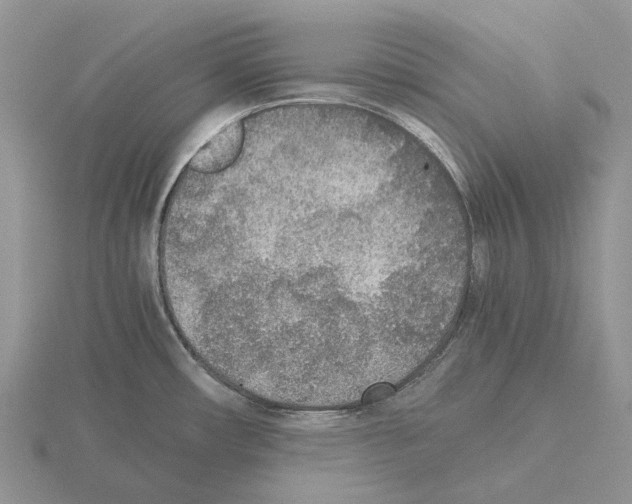 X0000115351482200912151326