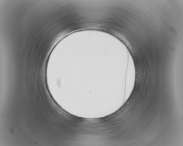 X0000115351483200912151326