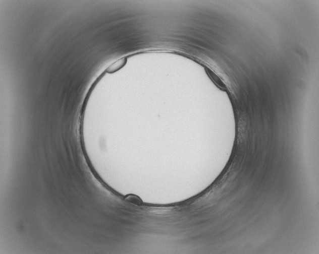 X0000115351484200912151326