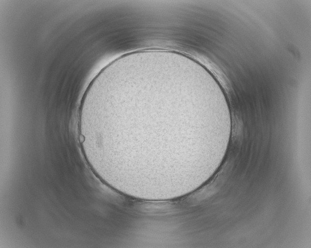 X0000115351486200912151326