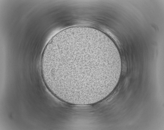 X0000115351487200912151326