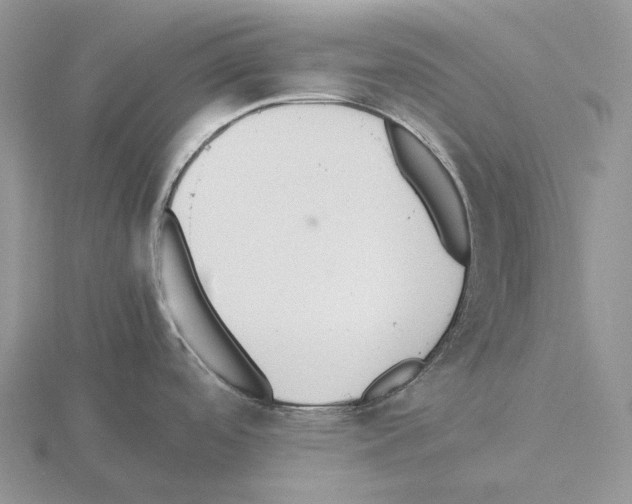 X0000115351488200912151326