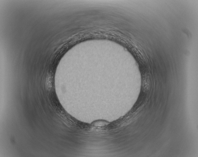 X0000115351490200912151325