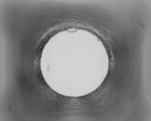 X0000115351495200912151325