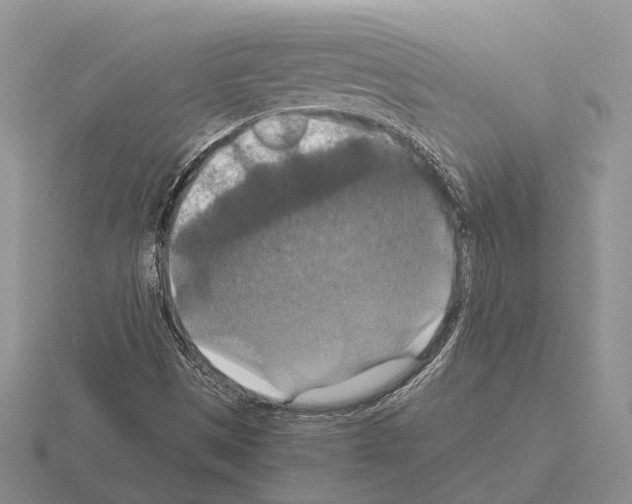 X0000115351497200912151325