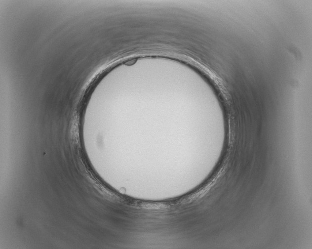 X0000115351498200912151325