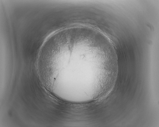 X0000115351501200912151325