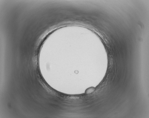 X0000115351503200912151325