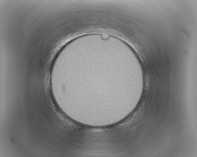 X0000115351507200912151325