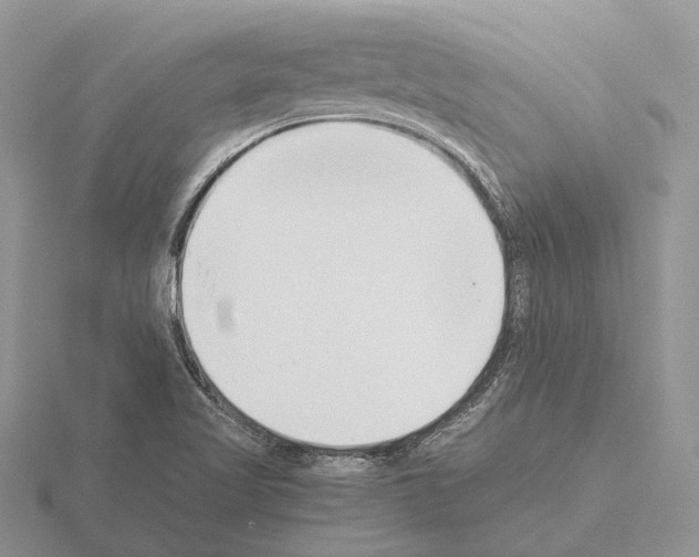 X0000115351509200912151326