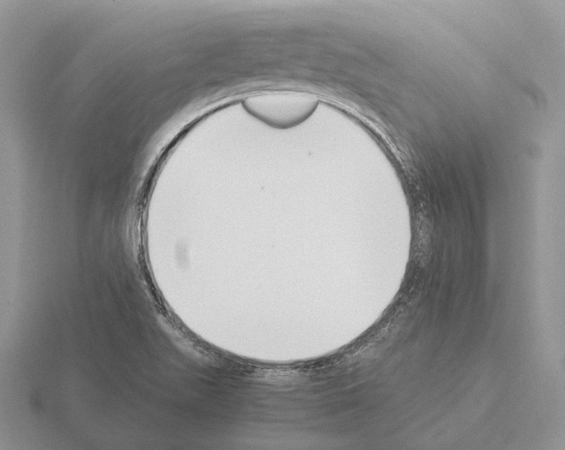 X0000115351511200912151326