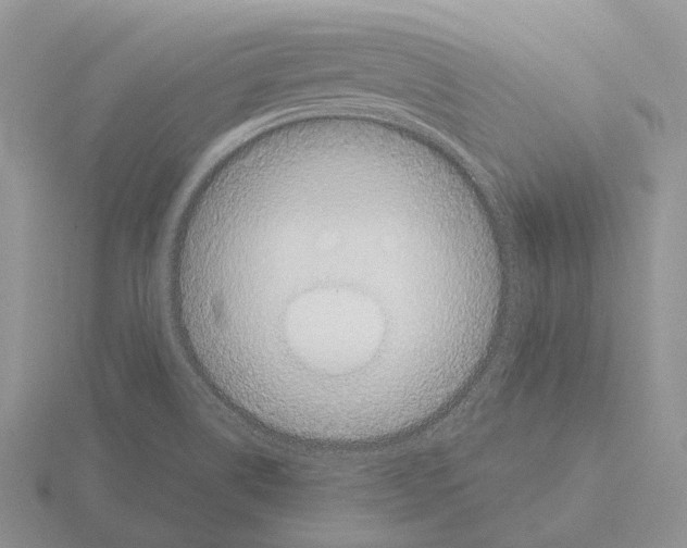 X0000115351514200912151326