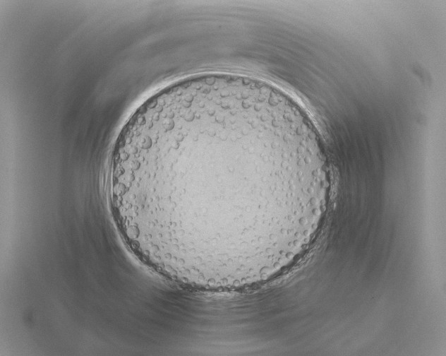 X0000115351515200912151326