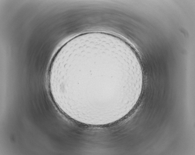 X0000115351517200912151326