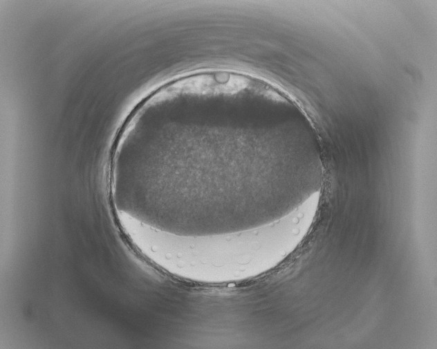 X0000115351519200912151326