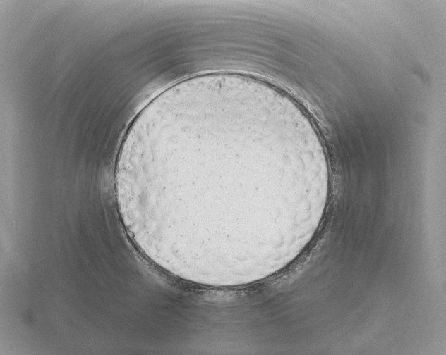 X0000115351521200912151326