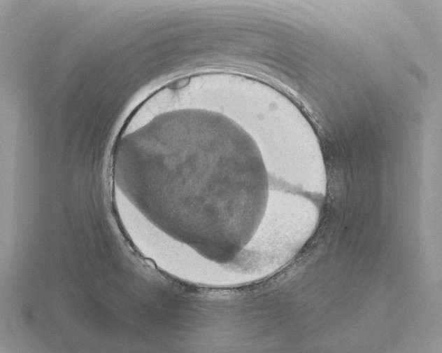 X0000115351522200912151326