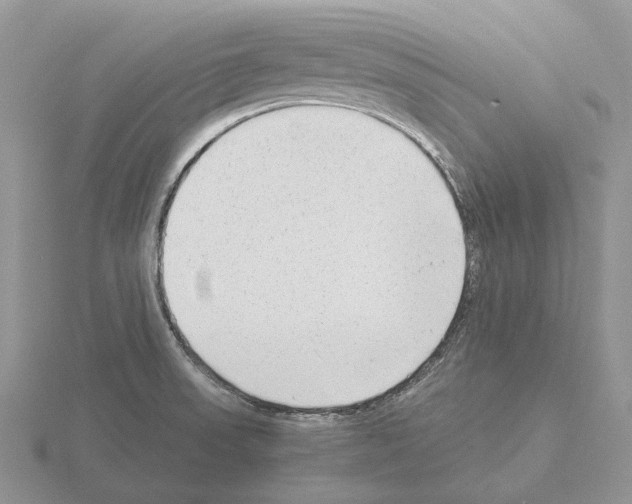 X0000115351523200912151326