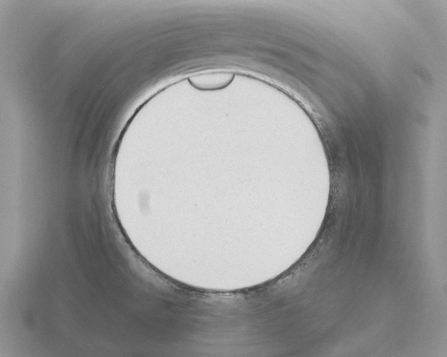 X0000115351526200912151326