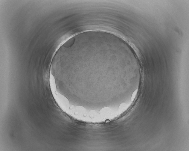 X0000115351529200912151326