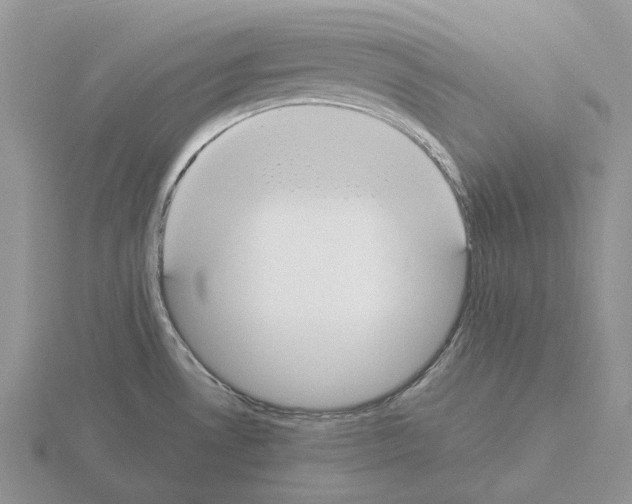 X0000115351530200912151326