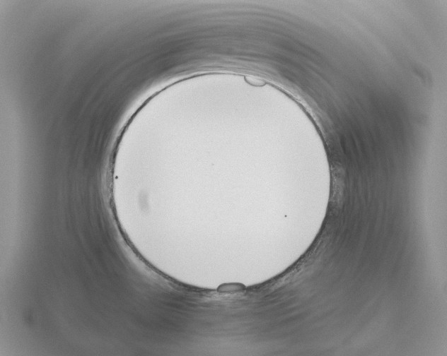 X0000115351531200912151326