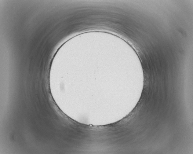 X0000115351534200912151326