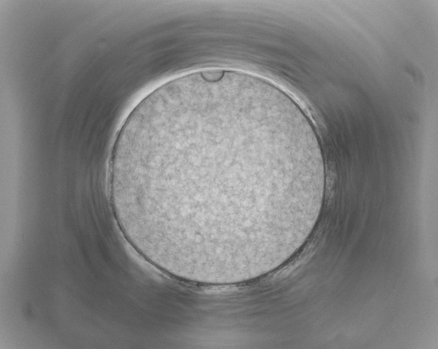 X0000115351535200912151326