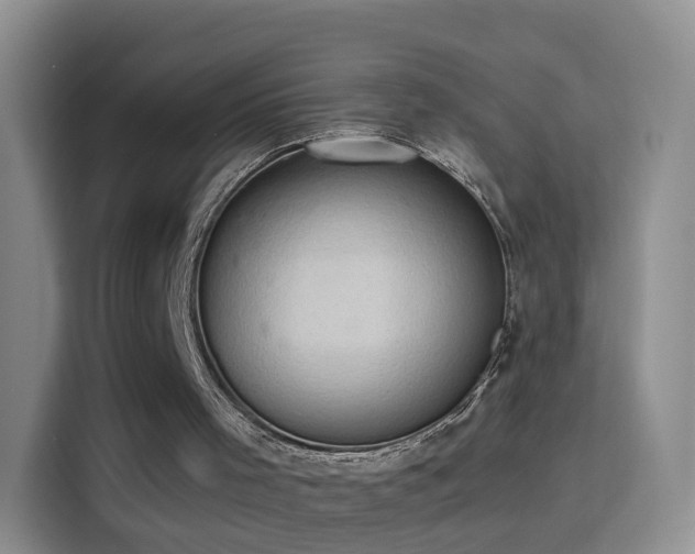 X0000115360001200911101206