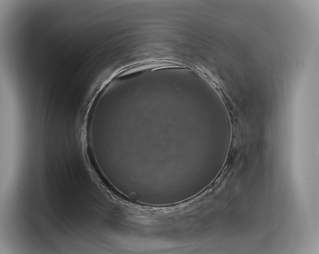 X0000115360002200911101206