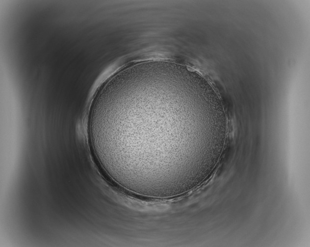 X0000115360004200911101206