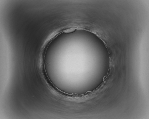 X0000115360005200911101206