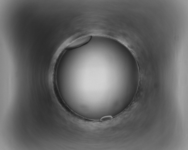 X0000115360007200911101206