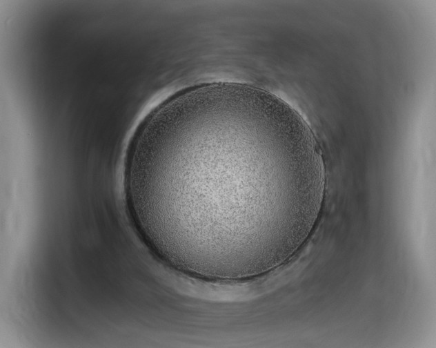 X0000115360008200911101206
