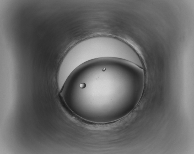 X0000115360009200911101206