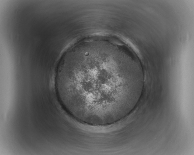 X0000115360010200911101206