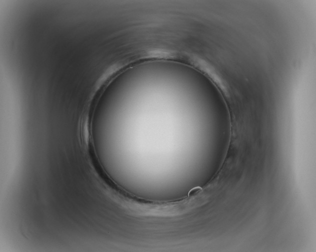X0000115360011200911101206