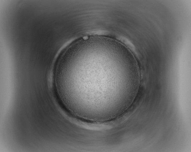 X0000115360012200911101206