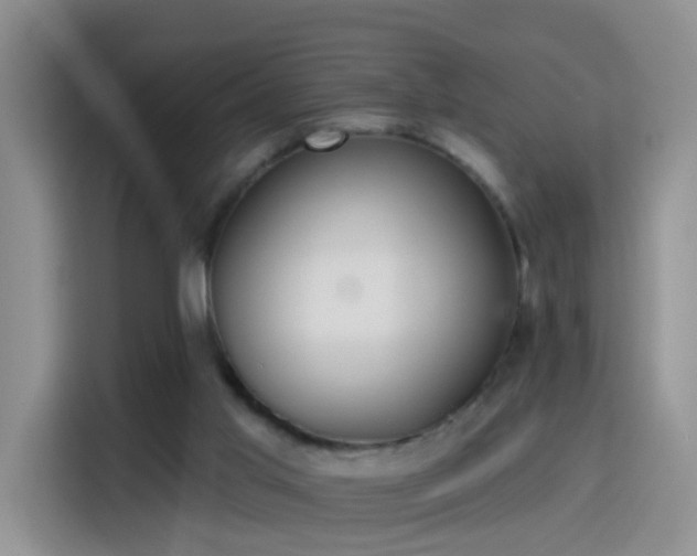 X0000115360013200911101206