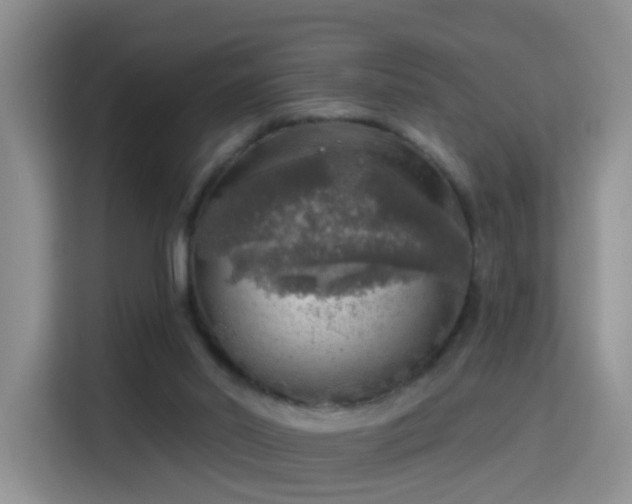 X0000115360014200911101206
