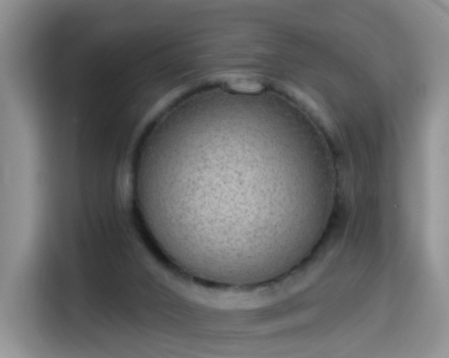 X0000115360016200911101206