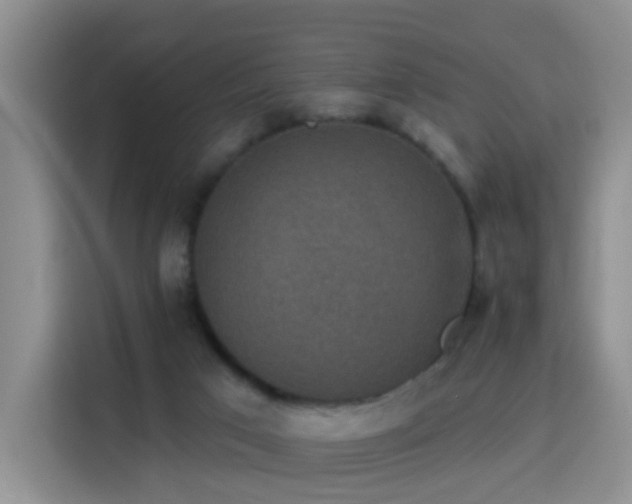 X0000115360017200911101206