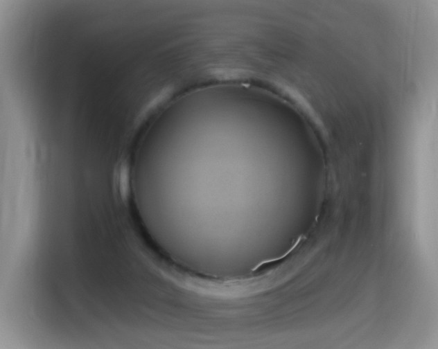 X0000115360019200911101206