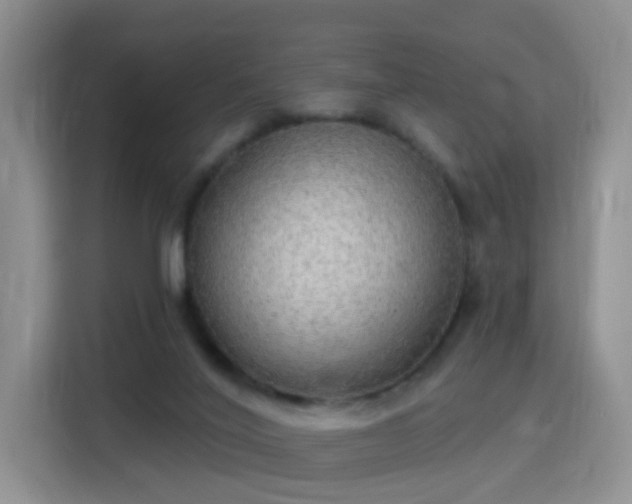 X0000115360020200911101206