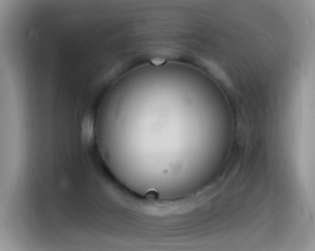 X0000115360021200911101206