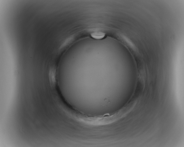 X0000115360023200911101206