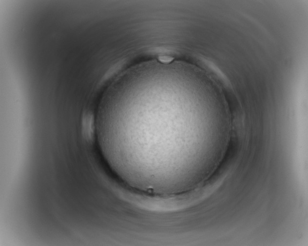 X0000115360024200911101206