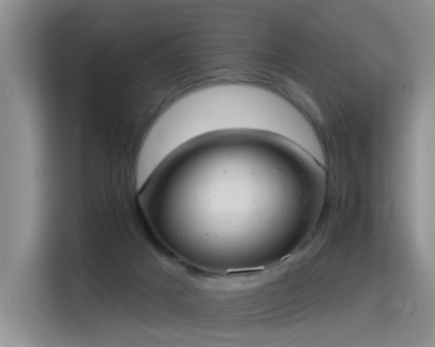 X0000115360025200911101206