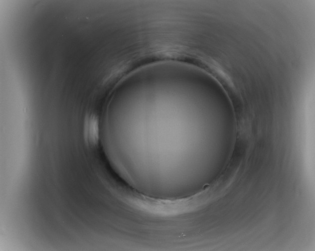 X0000115360027200911101206