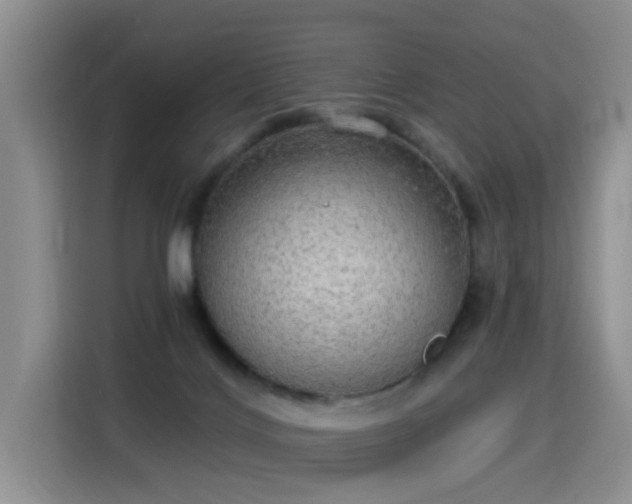 X0000115360028200911101206